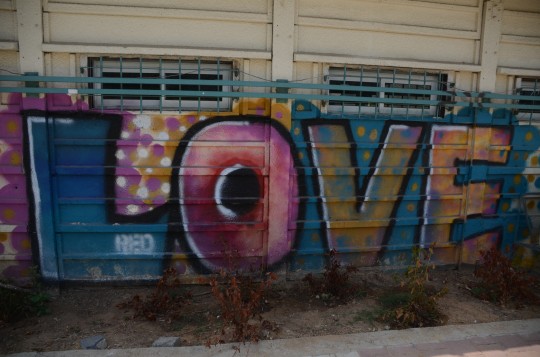 עמליה סיטון: "תל אביבים ממרכז העיר טוענים לנאורות ומאשימים אותנו בדעות גזעניות כלפי המסתננים מאפריקה אינם מבינים מה זה אומר עומס על התשתיות"