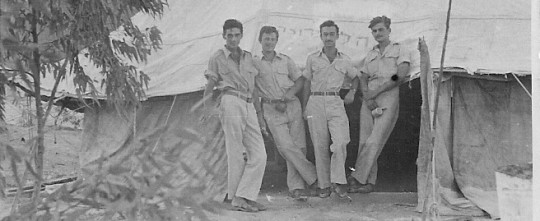 צימרמן-בצבא באר אורה- חתוך