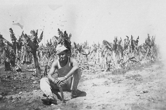 אסף במטע הבננות