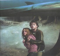 ברוך-גינזבורג הארי פוטר