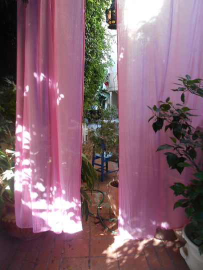 דורית וילונות וורודים